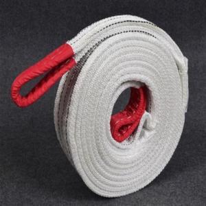 成华巨力 两头扣扁平吊带 L=8M 载重2T，厚度7MM 宽度56MM 丙纶