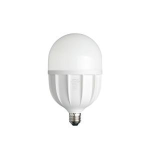 欧普 球泡 心悦Ⅱ代-T115-40W-E27-6500K(10个) 功率:40W色温:6000k-6500k