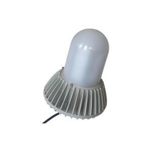 鼎辉照明 LED投/泛光灯BFDH6030-60W 黄色 5700K 220 V LED