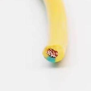 铸固 双色接地线 规格：4平方   备注：100米