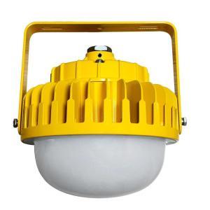 深圳尚为/SEVA 防爆LED工作灯 SZSW8150-30Q 30W,额定功率：220V，防护等级：IP66 全方位配光,支架式/吊管式 计价单位：盏