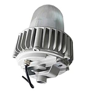 虎光风行 防爆工作灯 FL-BTC6155-G1 银白 台