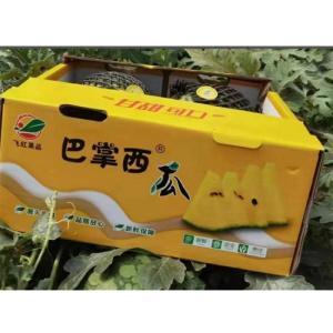 巴掌西 西瓜 13斤 大约4个