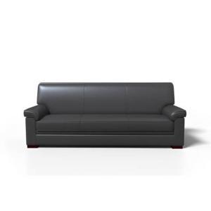 WETRUST 三人沙发WT-S102 实木+皮革 现代简约风 2200*840*910mm 黑色