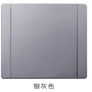 ROYEL 信息地插双孔，含面板 86型地插  银灰色