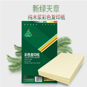 新绿天章 彩色复印纸 P6560 80克 A4 500页/包 浅黄