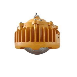 维莱奥斯 防爆平台灯 PTD2004-G 功率:100W 色温:5700K 黄色