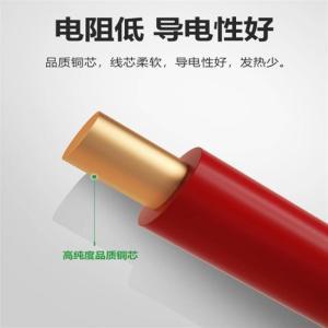 正泰/CHNT 电线 6平方红色单芯 ZC-BV-6平方