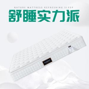 大自然 床垫 梦逸-健康独立弹簧床垫 厚度：240mm长宽:1500*2000 张