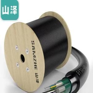 山泽/SAMZHE 铠装光纤 室外单模12芯 层绞式光纤 3000米/卷