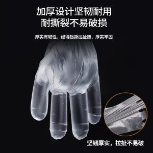 芳草地 一次性PE手套3G5955 10000只/箱