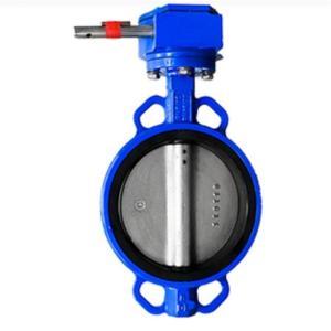 标一 对夹式涡轮蝶阀 D371X DN250 0.6-1.6MPA 球墨铸铁