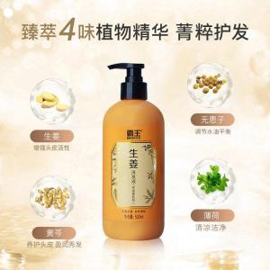 霸王 洗发液生姜控油蓬松型500g
