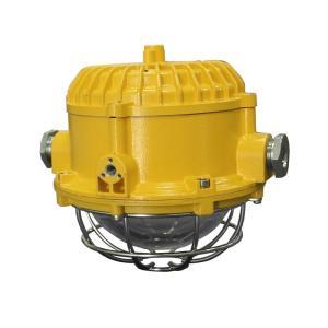 华荣 矿用隔爆型LED巷道灯DGS45/127L(A) 功率:45W 色温:5700K