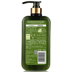 霸王 洗发水 防脱 控油去屑型 750ML