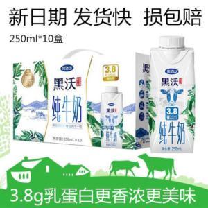 完达山 纯牛奶 黑沃 250ml/盒*10 3.8g/ml蛋白质