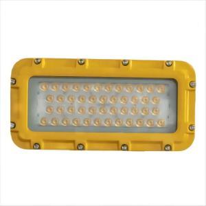维莱奥斯 防爆投光灯 TGD2001-G 功率:100W 色温:5700K 黄色