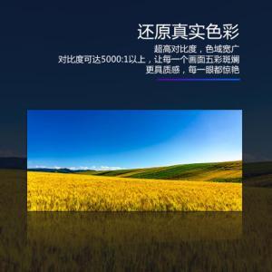强力巨彩/QIANG LI LED显示屏Q1.3 Pro 规格:100cm*100cm 模组分辨率(Dots):232*116 对比度:5000:1
