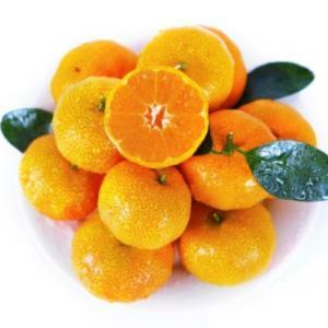 橙心果匠 砂糖橘 14斤