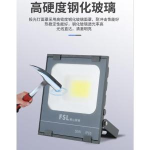 佛山照明/FSL LED防爆灯  投光灯led户外路灯室外防水工程广告工厂投射灯仓库照明泛光灯 功率：100W 白光 色温：6500K