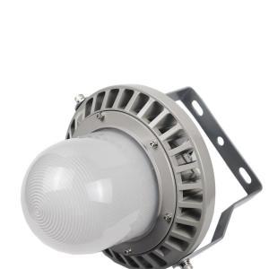 鼎晟丰/DSF 防爆平台灯 鼎峰GDFF-9802 功率:100W 灰色