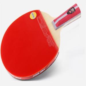红双喜 球拍 H4006 直拍 双面反胶 纯木