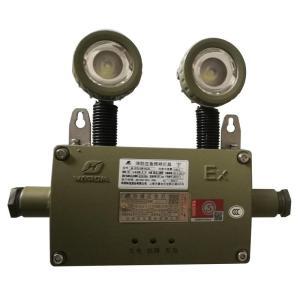 华荣 防爆应急灯HR-ZFZD-E6W 功率:6W