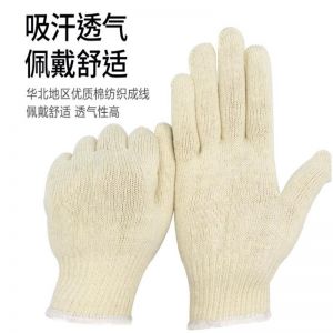 盛港 棉线手套 shenggang-6000 白色 包