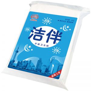 洁伴 平板卫生纸 460克 250抽