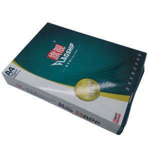 旗舰亚龙复印纸  70克 A4 500张/包 5包/箱 绿色包装