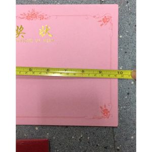 凯骊 奖状芯 12K 粉红