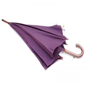 天堂 直柄雨伞 118E碰 8K 材质:抨击防水布+钢骨玻璃纤维 混色