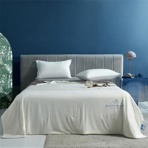 伊伊爱 科技凉感大豆夏凉被 BZ0TDC2201040 200*230cm