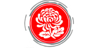 榄菊