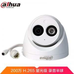 大华 半球音频星光级网络带拾音录音红外摄像头 DH-IPC-HDW2233DC白色（不含安装）