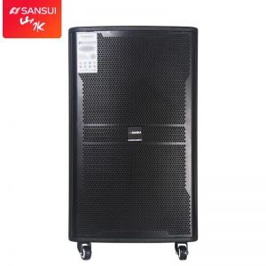 山水音响 音箱 SG6 12英寸 双追频麦克风