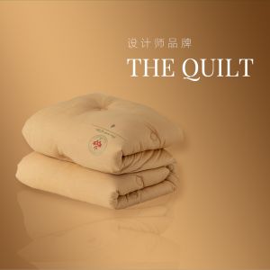 伊伊爱 被芯 BZ0LFS2100939 200*230cm 聚酯纤维 姜黄色