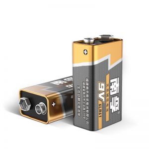 南孚 碱性电池 6LR61-1B/9V 9V 1节/卡 黑色
