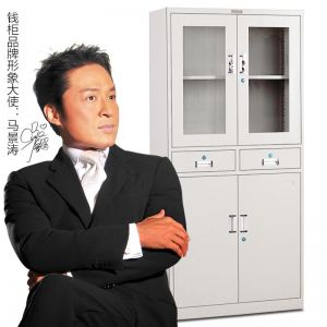 钱柜 二斗器械柜  1800*850*390mm 冷轧钢板 4门 灰白色