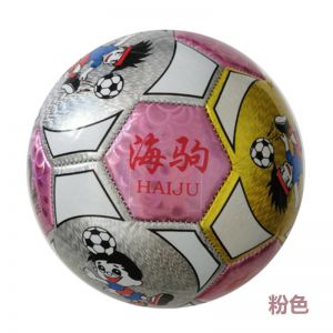 海驹 足球 HJ2610 机缝足球 PVC材质 2号 颜色随机