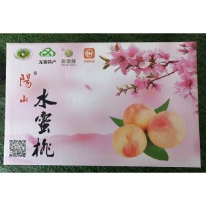 阳山 水蜜桃  260g/个 8个/箱