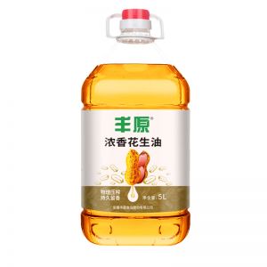 丰原食品 食用油 压榨一级浓香花生油 5L