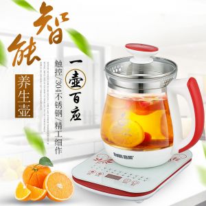 宜阁/EDEI 养生壶 XSL-1605 高硼硅玻璃1.8L 800W 红色