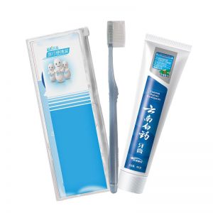 云南白药 牙膏套装 牙膏冬青香45g*1 软毛牙刷*1 便携袋*1