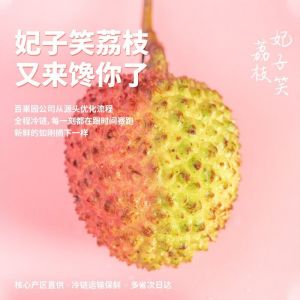 百果园 妃子笑荔枝 A级 2.5Kg 3-5天