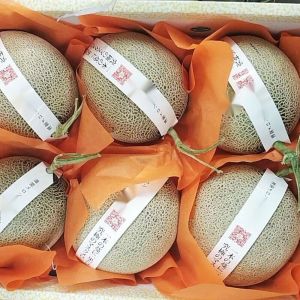 百果园 网纹蜜瓜  大约9kg 常温7-10天